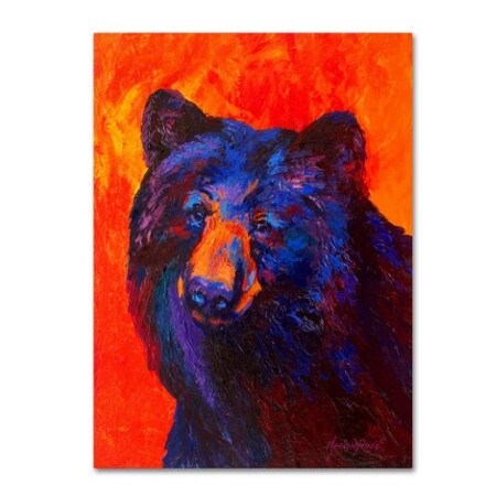 Trademark Fine Art Marion Rose 'Thoughtful Black Bear' Canvas Art, 24x32 ALI10553-C2432GG